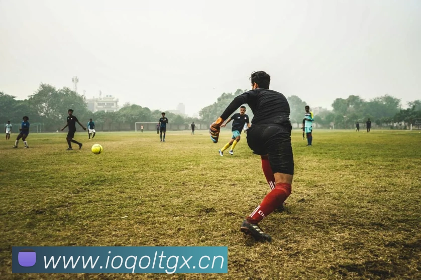 星空体育官方网页入口APP 封面图